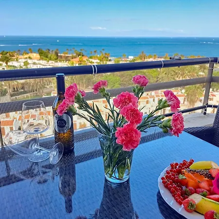 公寓 Cozy Ocean And La Gomera View 美洲海滩