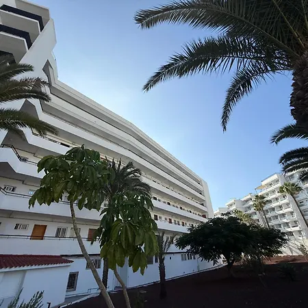 公寓 Cozy Ocean And La Gomera View