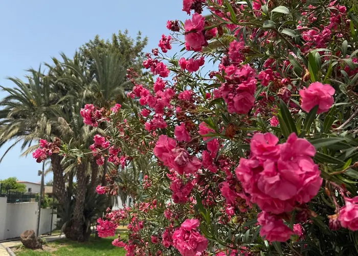 Cozy Ocean&la Gomera View