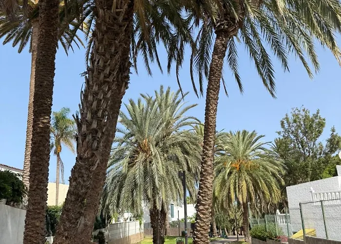 Cozy Ocean&la Gomera View Playa de las Americas (Tenerife)